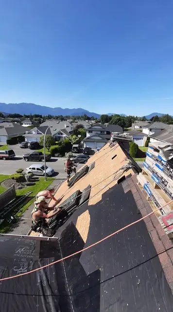 Aerial view of active roof tear-off and replacement showing fresh plywood decking installation with safety rope lines, demonstrating the complete stripping and substrate preparation phase of a residential roof project.