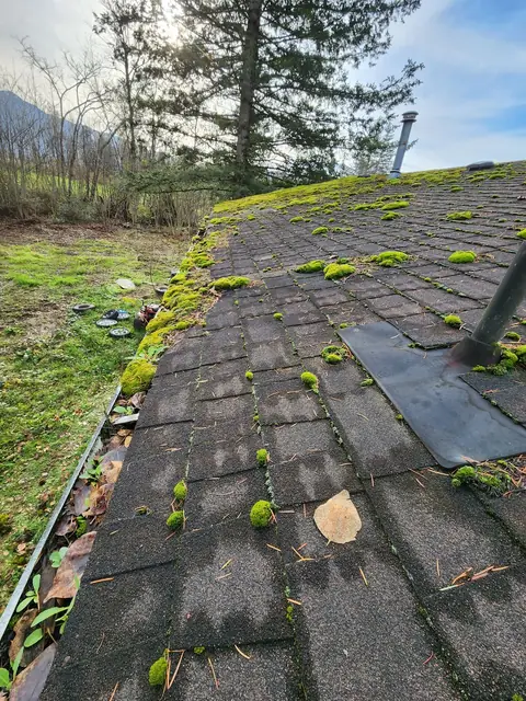 Angled view of moss-covered roof with slate-grey shingles heavily overgrown with bright green moss, metal flashing shows corrosion, indicating long-term moisture and algae growth.