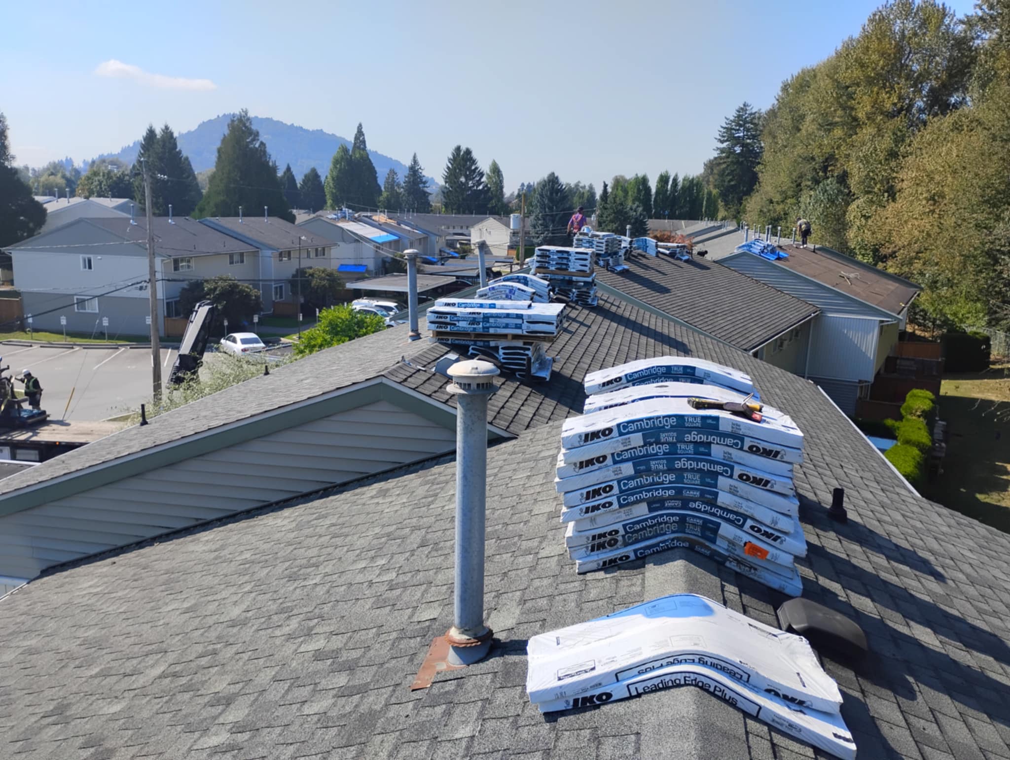 Dads Roofing roofer celebrating a completed asphalt shingle roof installation at sunset in a Chilliwack BC neighbourhood with Fraser Valley mountains in the background
