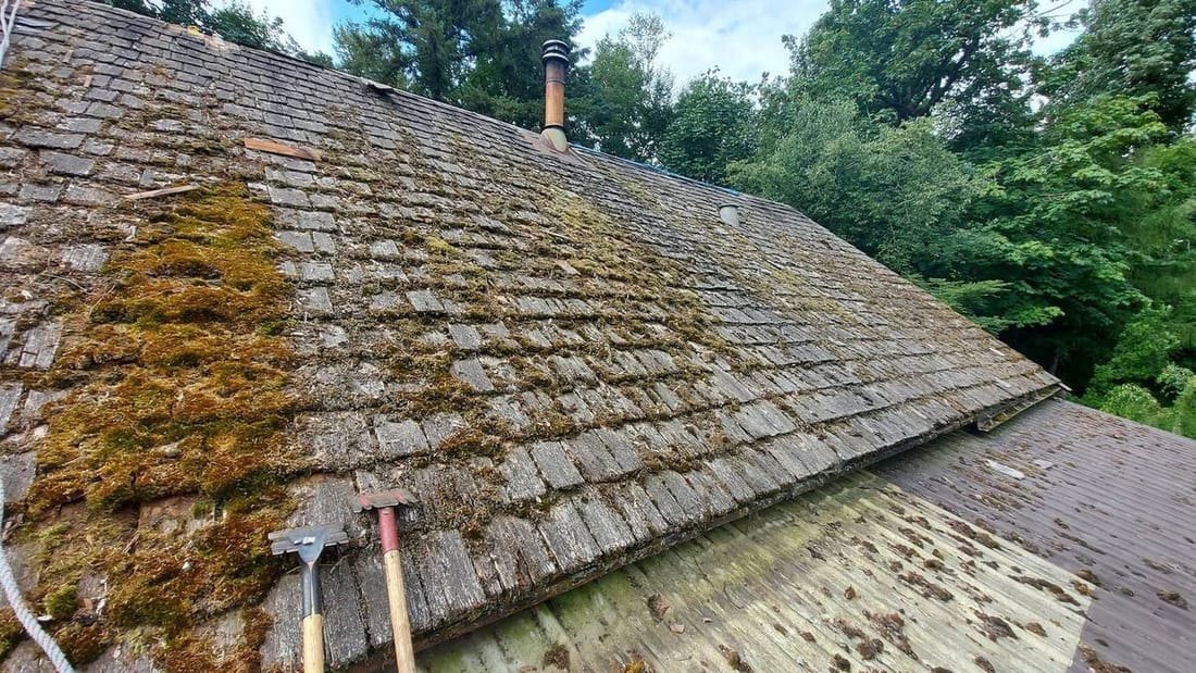 Moss-covered cedar shake roof before replacement in the Fraser Valley showing severe biological growth and deterioration typical of Rosedale riverside properties