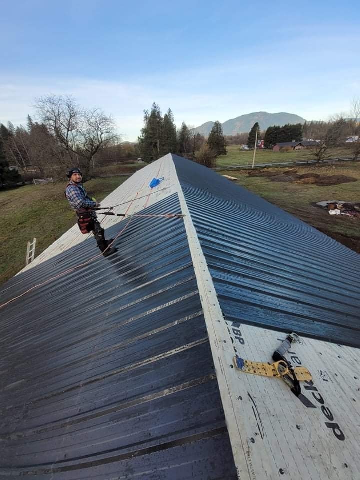 Fraser Roofing crew member installing corrugated metal roofing panels on a steep-pitched roof in Sardis Fraser Valley BC with safety harness