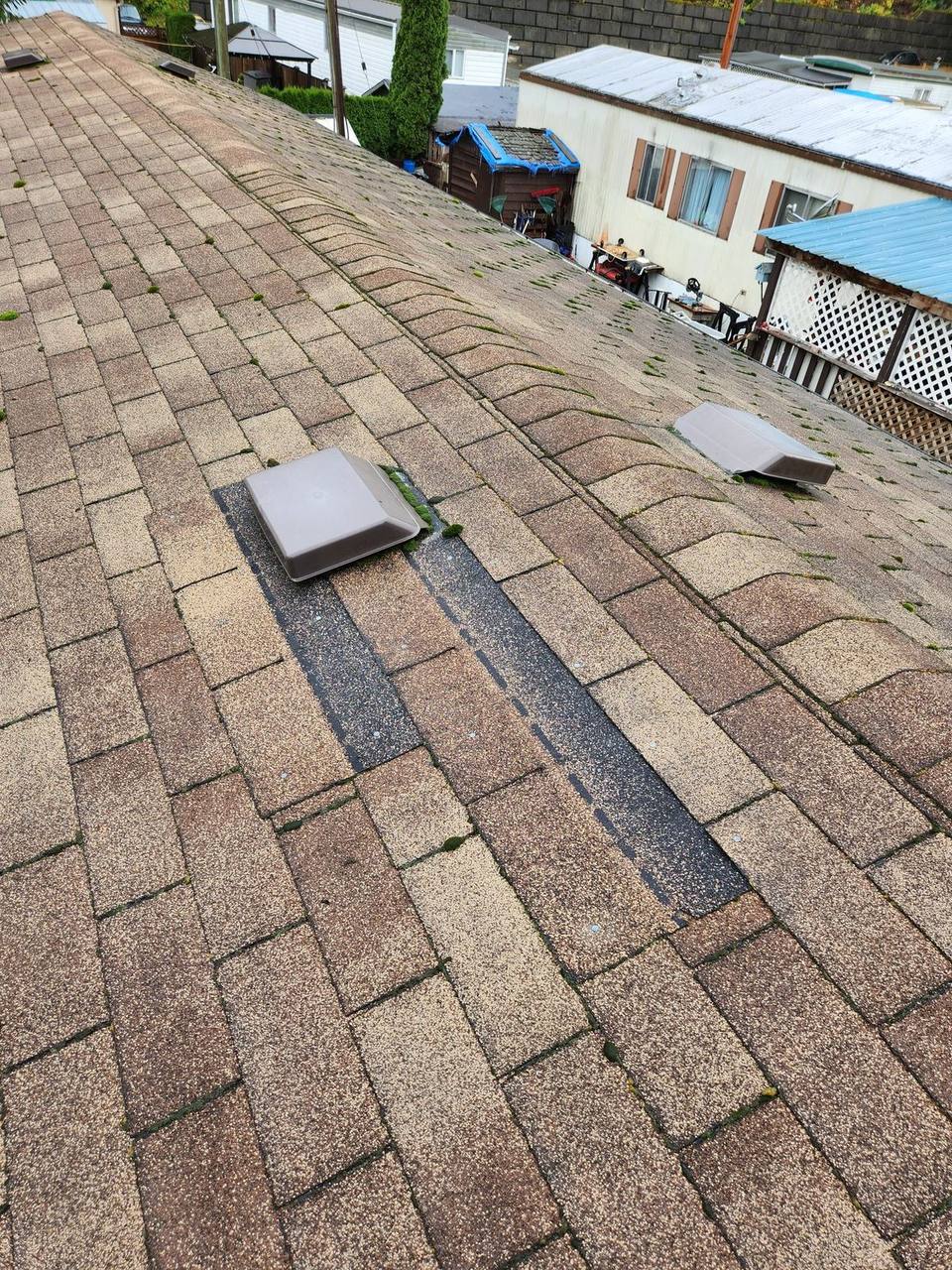 Aging 3-tab asphalt shingle roof with extensive moss growth and granule loss during a Fraser Roofing inspection in the Fraser Valley BC