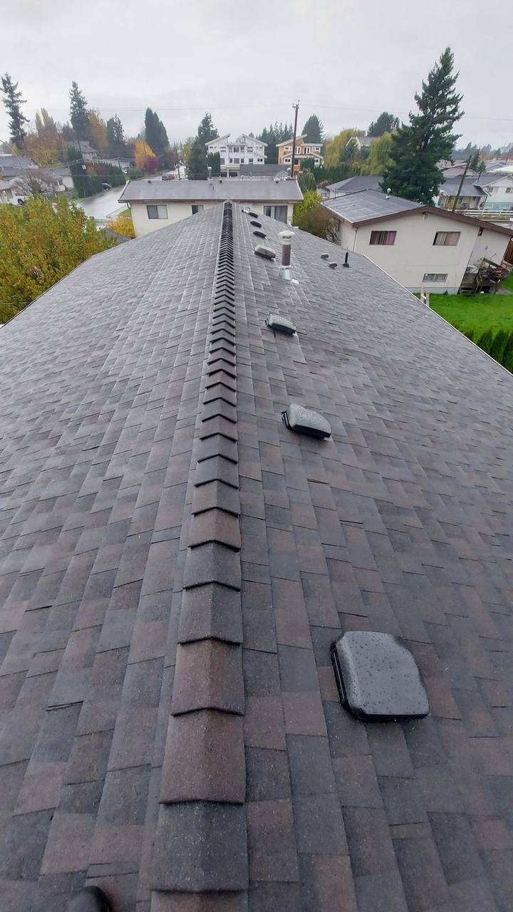 Completed ridge cap installation on architectural asphalt shingle roof by Fraser Roofing in the Fraser Valley, BC, view along the ridge line showing professional craftsmanship and proper ventilation