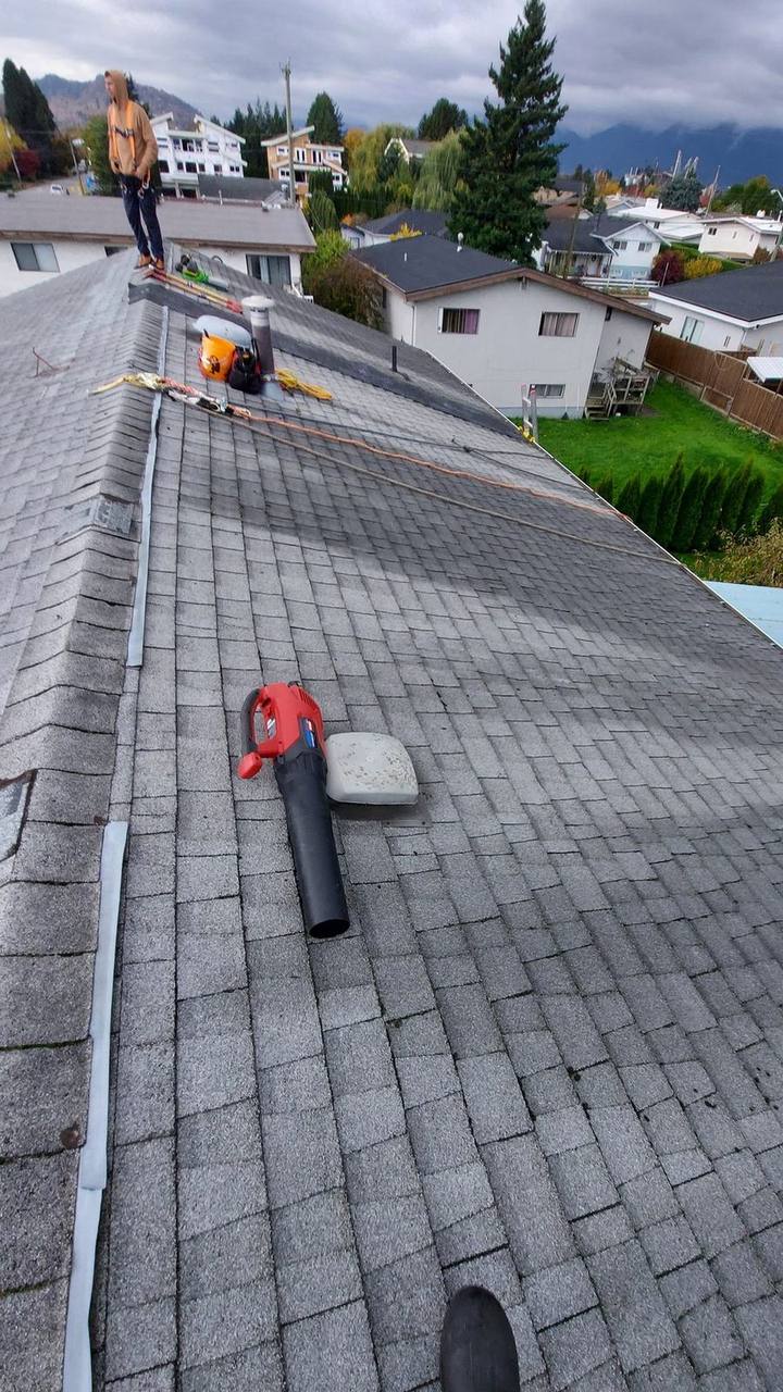 Completed asphalt shingle roof with six box vents along the ridge in the Fraser Valley, proper ventilation like this is the single biggest factor in roofing energy efficiency