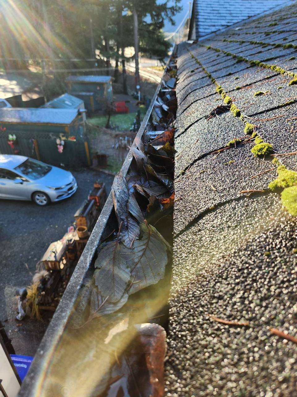 Moss-covered asphalt shingles during roof inspection in Fraser Valley BC by Fraser Roofing