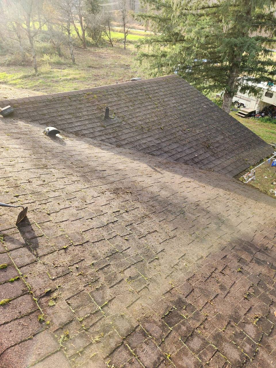 Moss and algae growth on residential asphalt shingle roof requiring maintenance treatment in the Fraser Valley