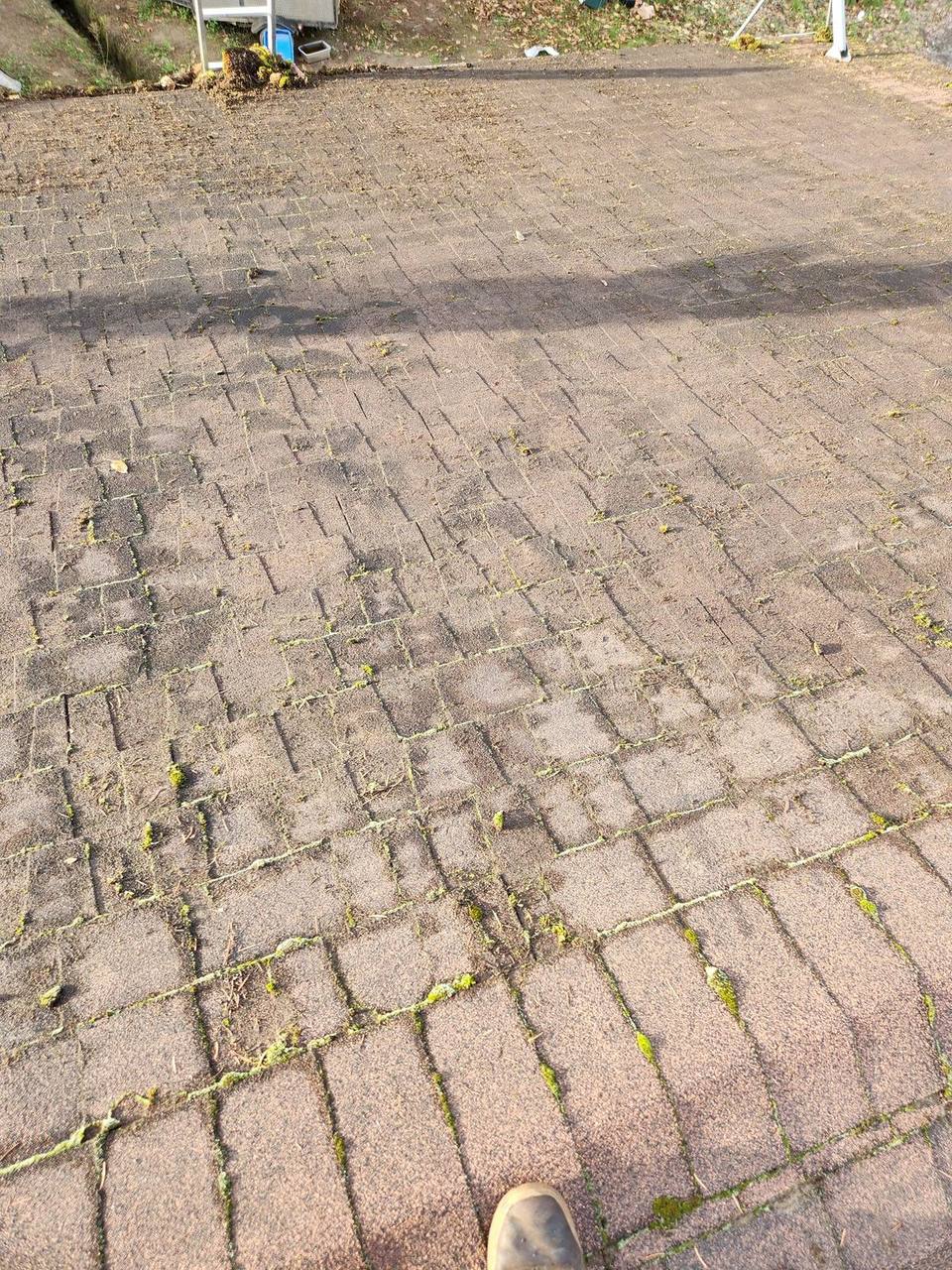 Asphalt shingle roof with heavy moss and algae growth on a shaded slope, the condition a Cultus Lake cabin roof reaches under dense tree cover