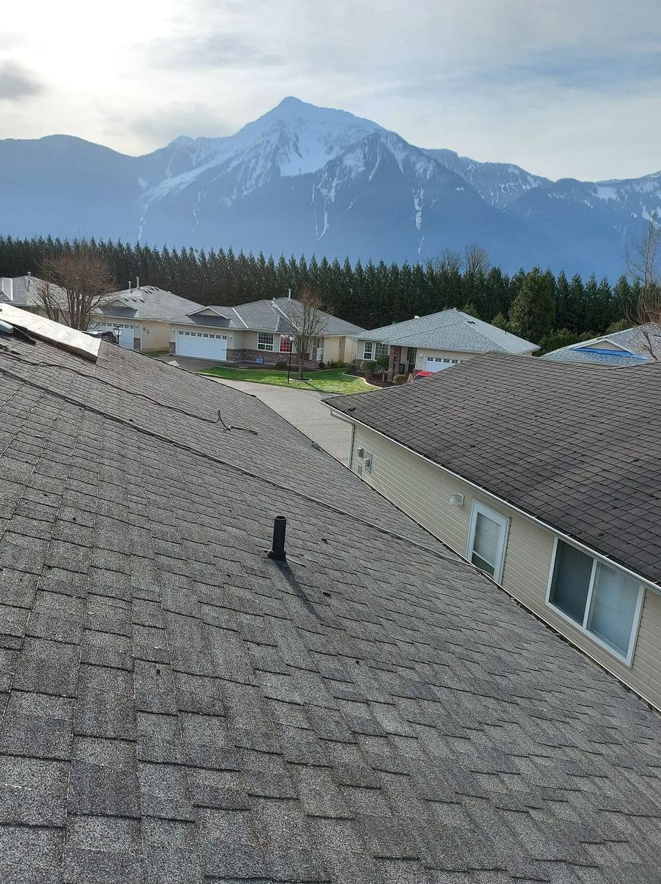 Roof sheathing from above, Fraser Valley