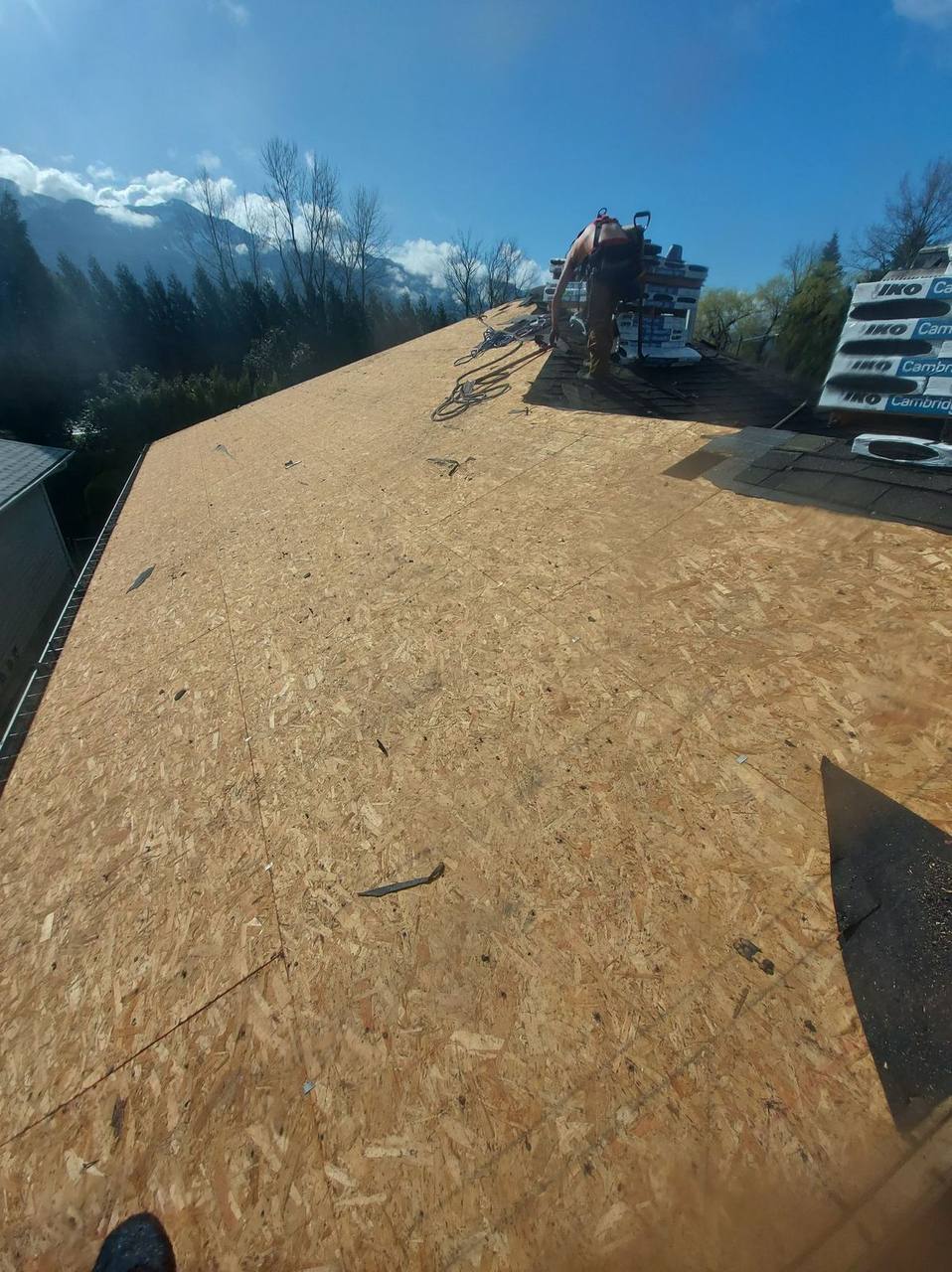 OSB sheathing installation on a Fraser Valley residential re-roof by Fraser Roofing, deck repair and replacement is a real cost factor that honest contractors include in their quotes