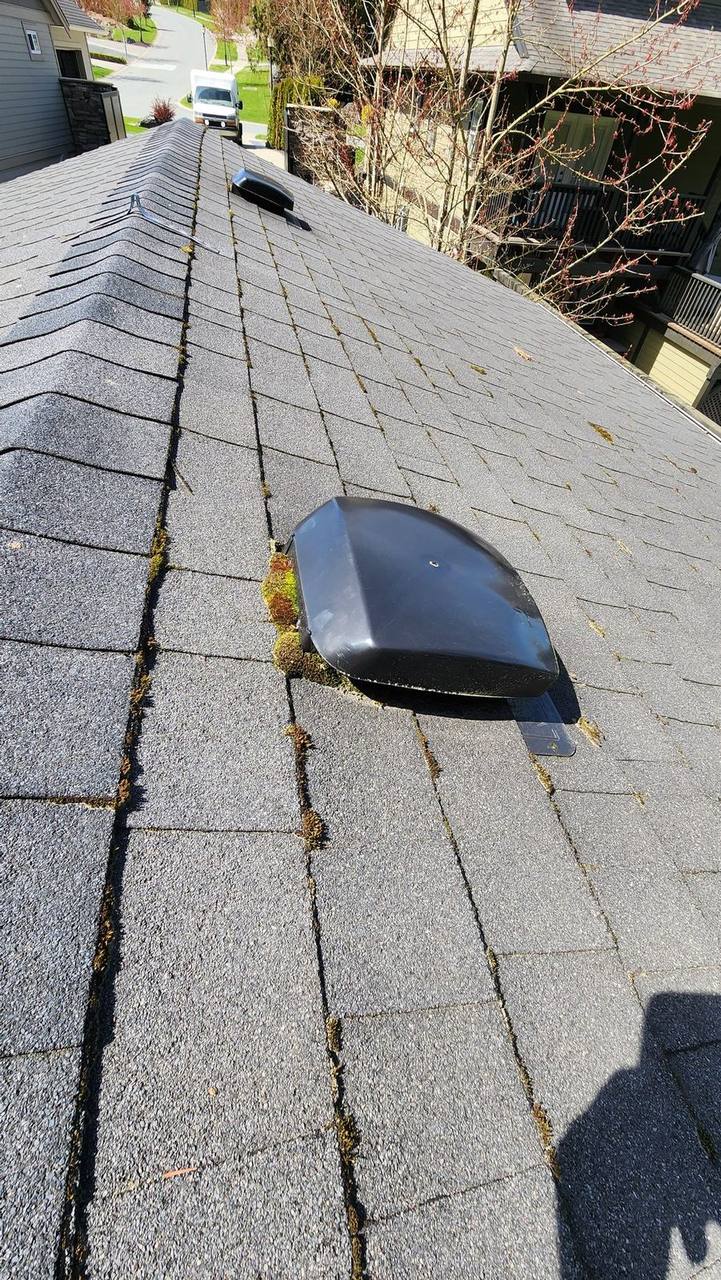 Professional roof inspection on Agassiz BC residential home with Fraser Valley mountain view by Fraser Roofing