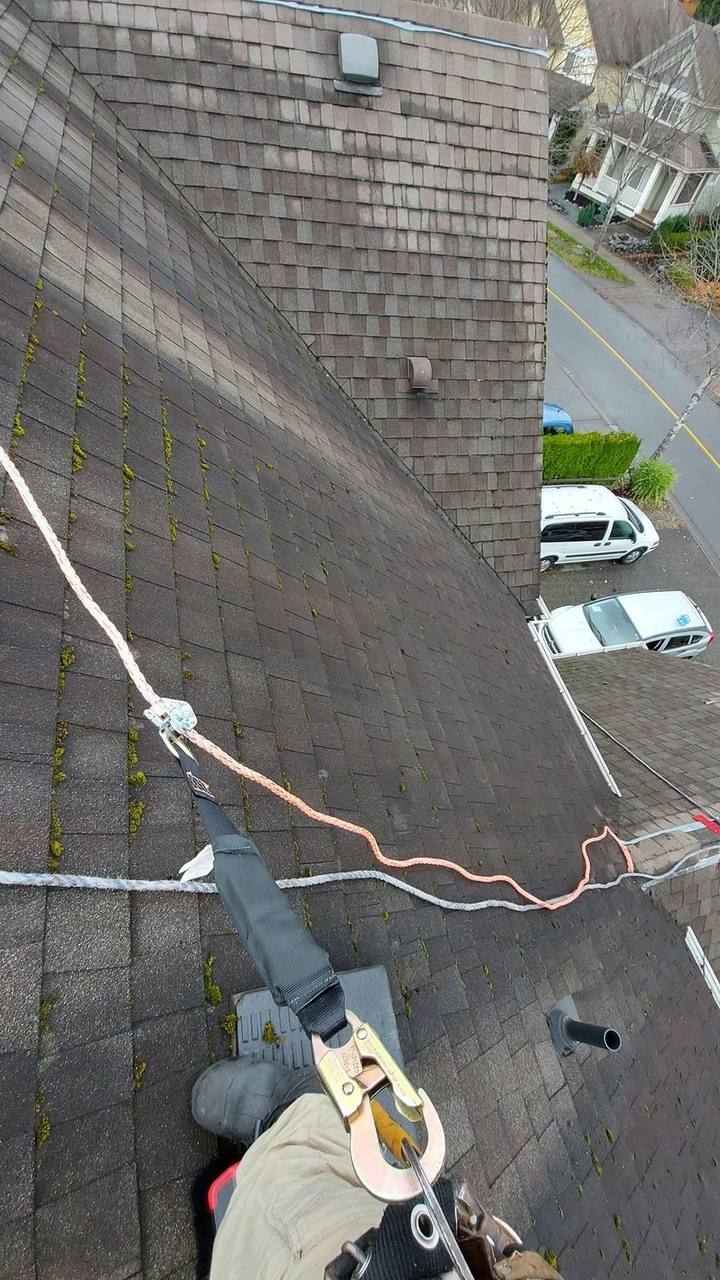 Fraser Roofing crew member fully harnessed and tied off at the peak of a Fraser Valley residential roof, proper fall protection that professional roofers use on every job