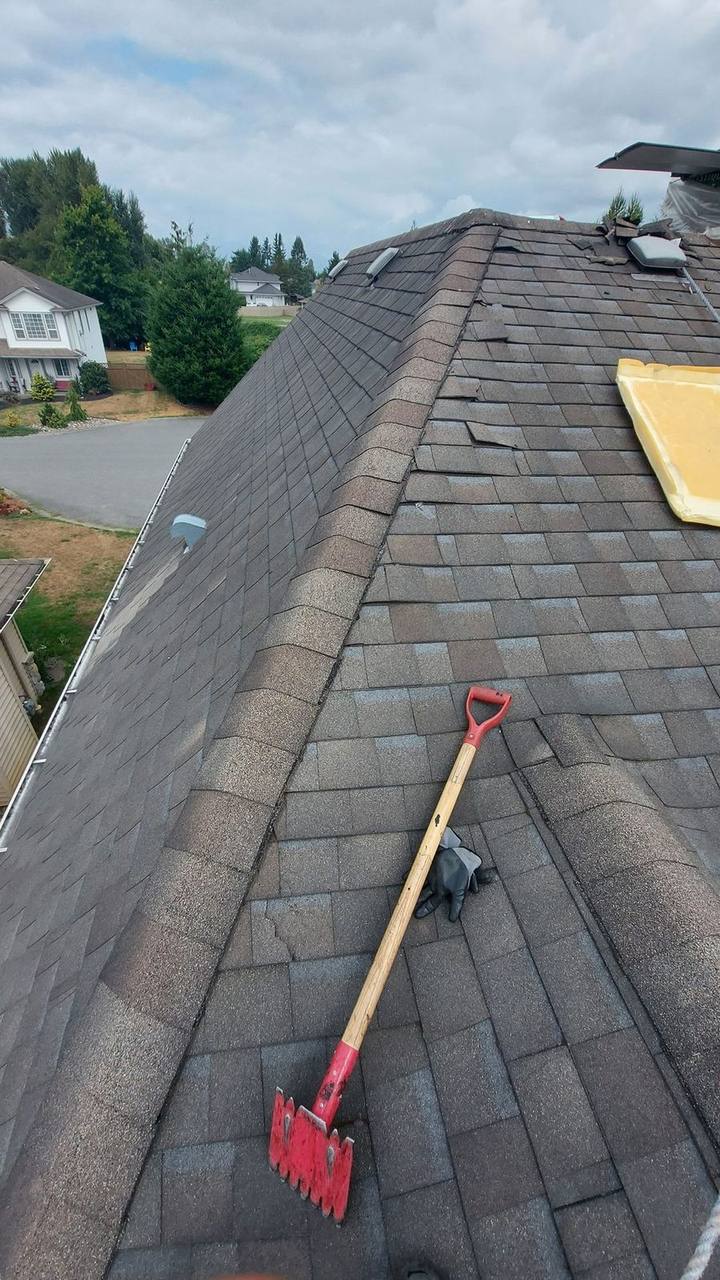 Fraser Roofing crew member with fall protection on steep shingle roof in Fraser Valley during post-storm inspection