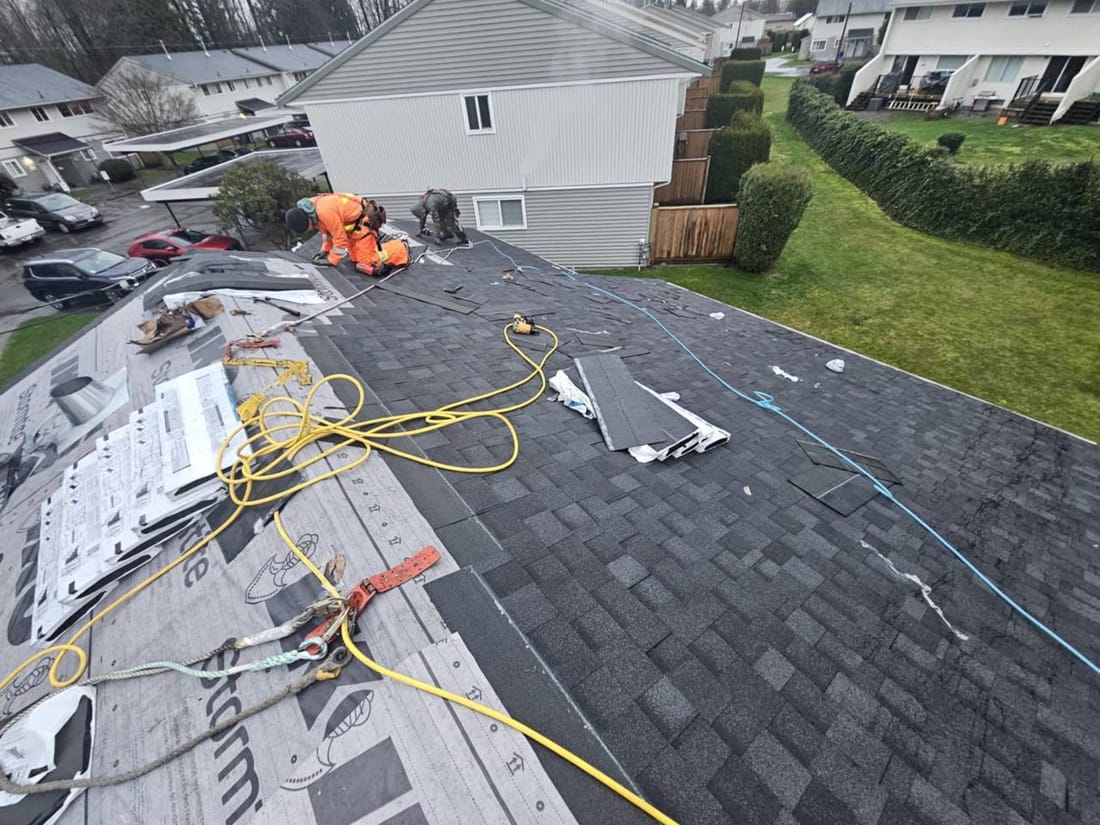 Fraser Roofing crew member wearing rain gear while shingling mid-job, demonstrating the all-weather commitment we bring to Yale and Fraser Canyon roofing projects