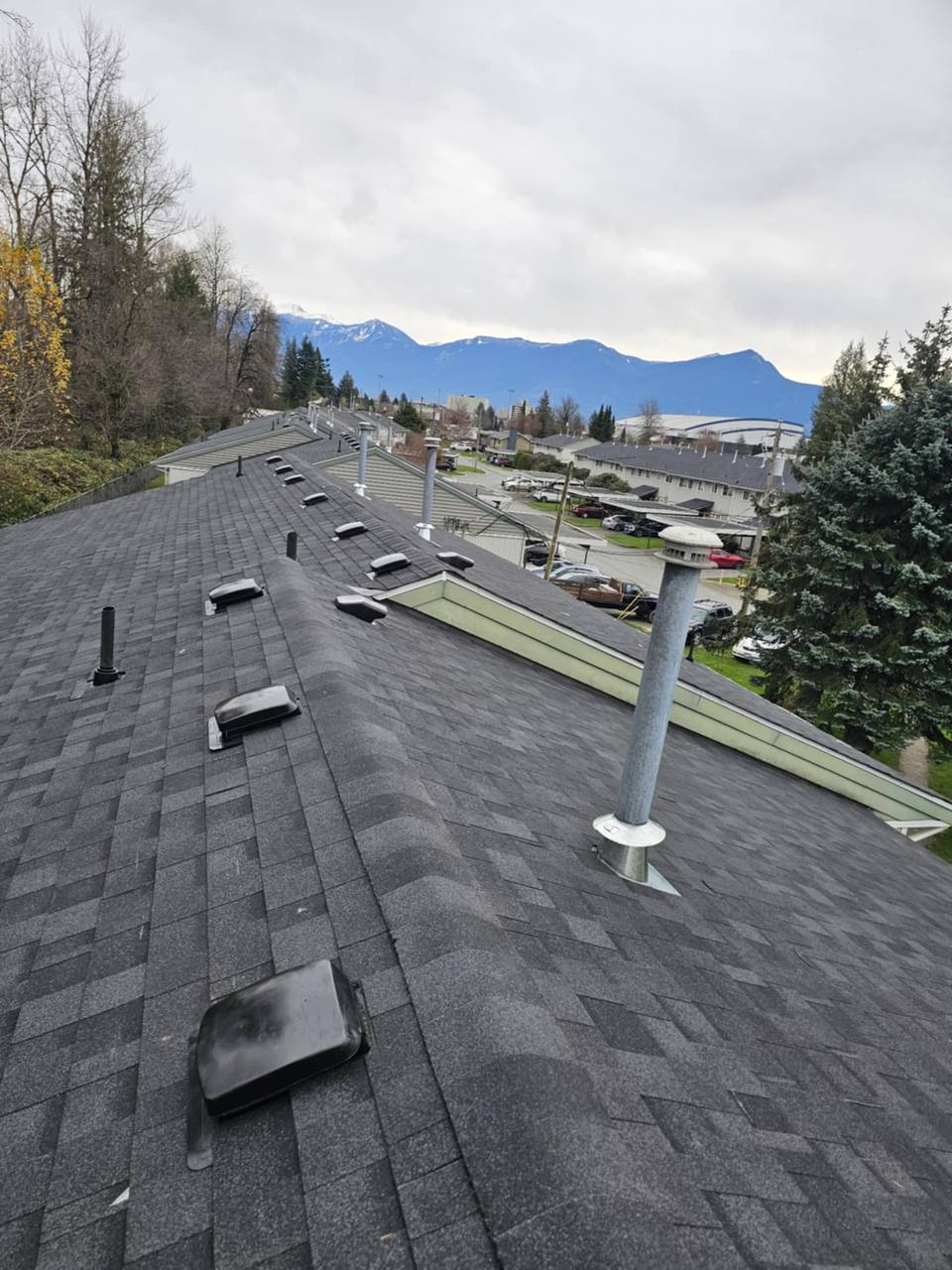 Completed large-scale multi-unit asphalt shingle reroof in Chilliwack BC with charcoal architectural shingles and box vents by Fraser Roofing