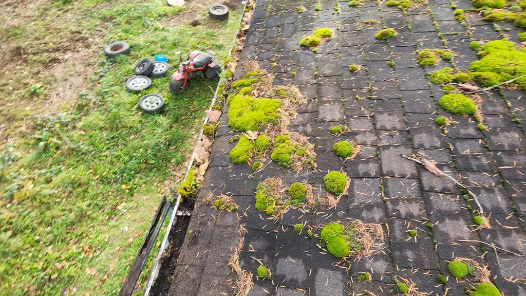 A worker's boot rests at the edge of a moss-covered asphalt shingle roof, right beside a gutter clogged with debris. Fraser Roofing
