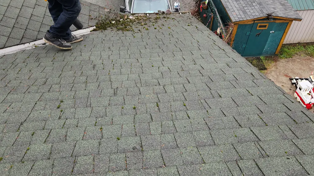 A man in a navy hoodie stands near the edge of a roof with faint moss flecks on its asphalt shingles, looking back over his shoulder at the camera. Fraser Roofing