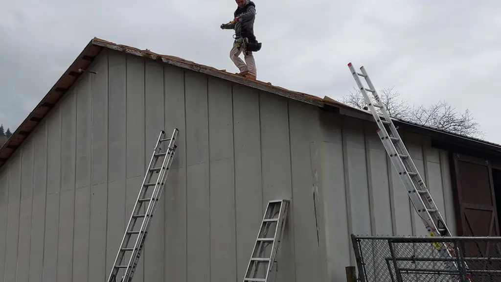 Wide ground-level shot of a beige corrugated-metal-sided barn or outbuilding, with a worker standing near the roof peak, small and distant. Fraser Roofing