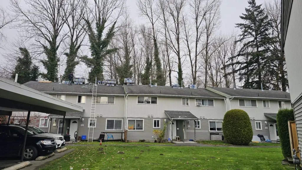 Ground-level shot from the front lawn of a townhouse row mid re-roof. Fraser Roofing