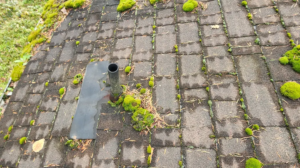 A wet section of asphalt shingle roof shows scattered moss clumps next to a bare metal flashing patch where a pipe has apparently been removed. Fraser Roofing