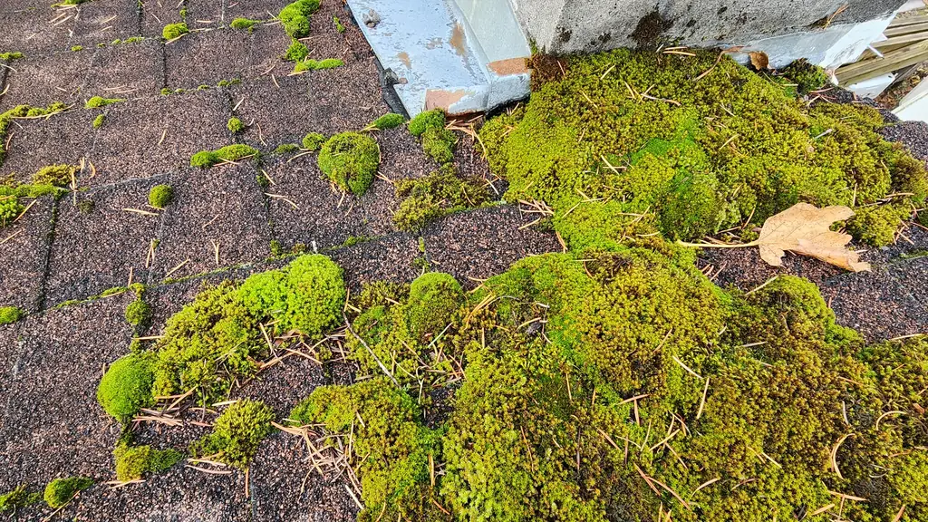 A close view of the base of a concrete-block chimney where it meets an asphalt shingle roof, with new step flashing partially installed at the corner. Fraser Roofing
