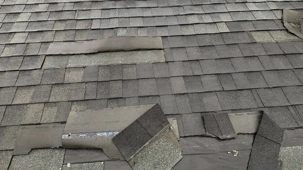 Wind-damaged asphalt shingle roof with torn and lifted shingles exposing the underlayment. Fraser Roofing