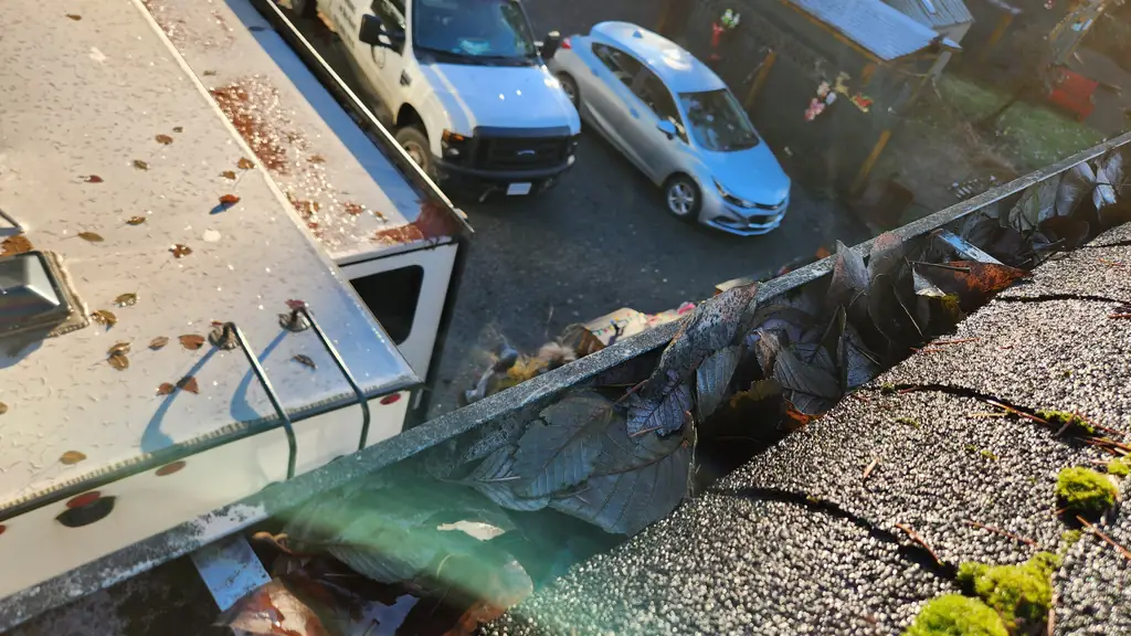Looking down at a leaf-clogged, algae-slicked gutter with a rainbow lens flare crossing the frame. Fraser Roofing
