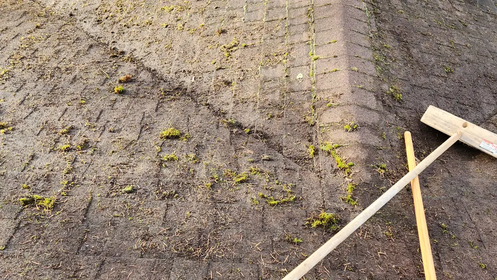 An on-roof view of an aged asphalt shingle roof ridge covered in moss patches, with one side of the roof sunlit and the other in shadow. Fraser Roofing
