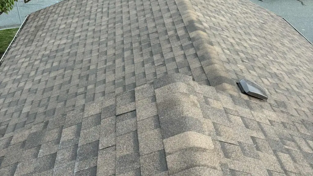 Standing on the ridge of an asphalt shingle roof, not metal as the filename claims, with a noticeably wavy. Fraser Roofing