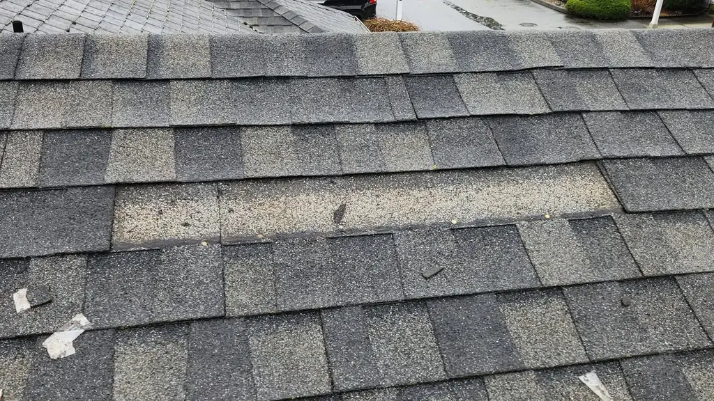 Missing asphalt shingle tab on a townhouse roof after a windstorm. Fraser Roofing