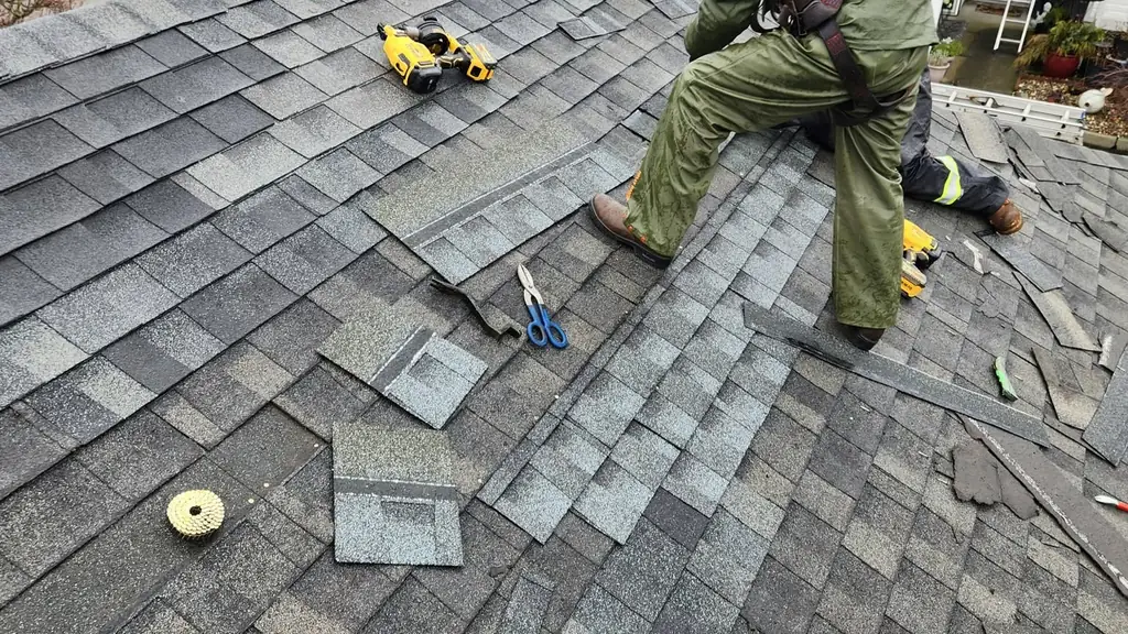 Roofer in a safety harness replacing wind-damaged shingles on a townhouse roof. Fraser Roofing
