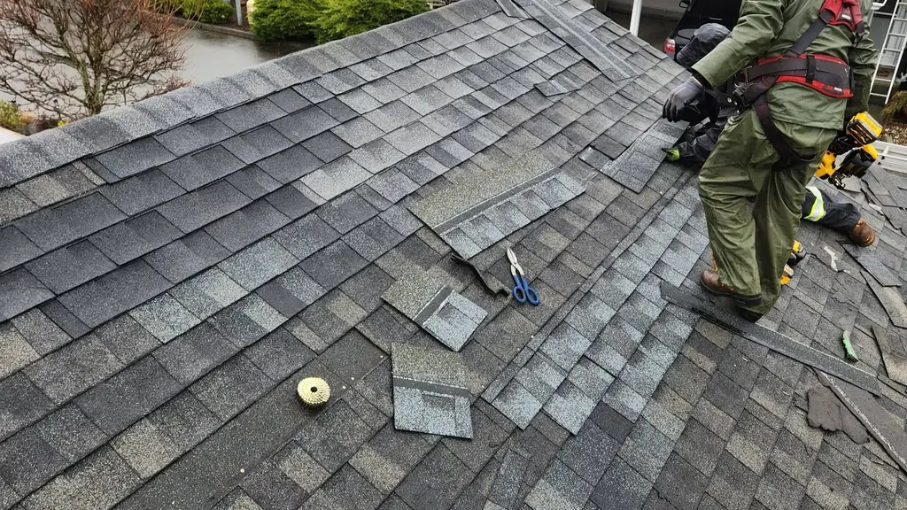 Roofer in a safety harness replacing wind-damaged shingles on a townhouse roof. Fraser Roofing
