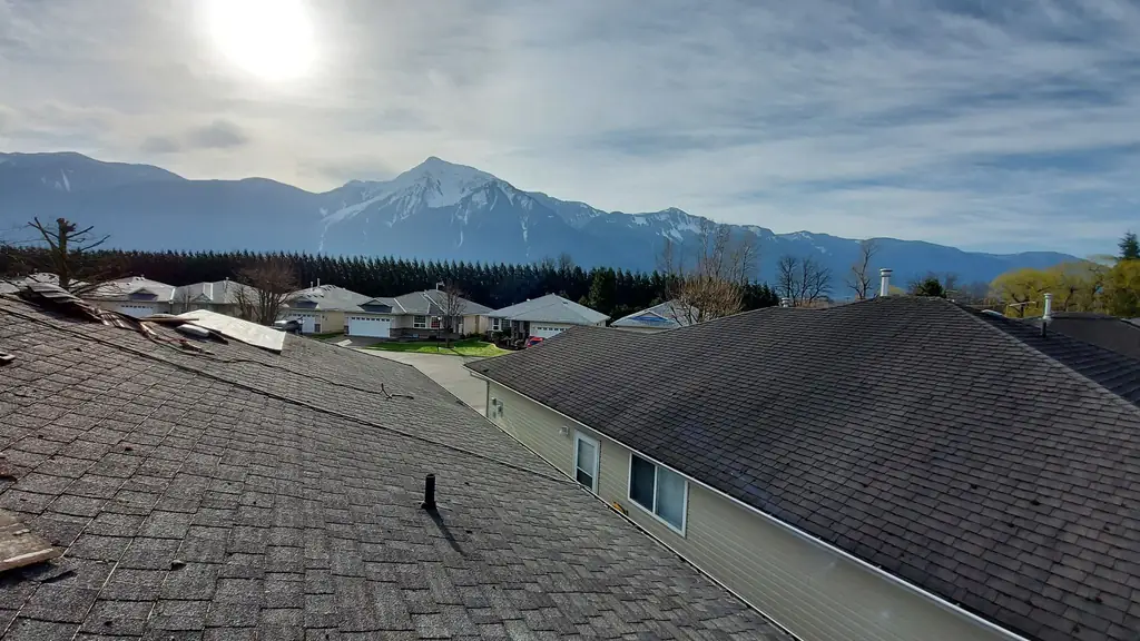 A striking view from a rooftop across a cul-de-sac of single-story homes toward a large snow-capped mountain peak rising behind a windbreak of tall. Fraser Roofing
