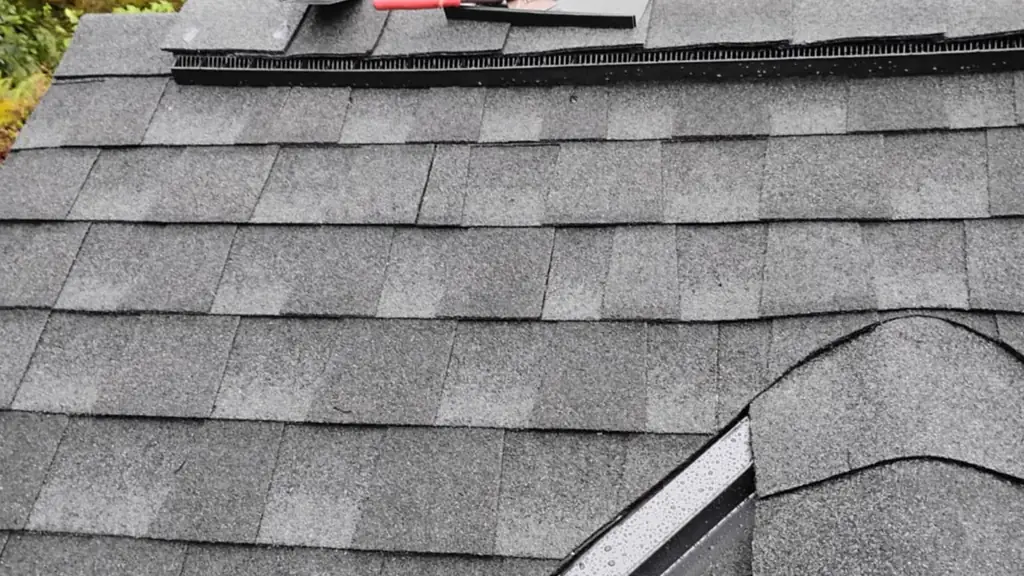 A worker in a grey shirt and harness kneels at the ridge of a shingled roof. Fraser Roofing