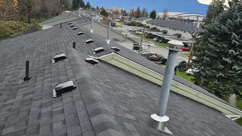 Standing on the ridge of a dark gray dimensional shingle roof, looking along it past several roof vents toward snow-capped mountains in the distance. Fraser Roofing