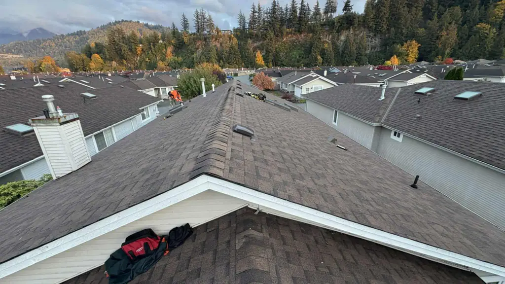 Standing on the ridge of a dark asphalt shingle roof with a tool bag resting at the edge. Fraser Roofing