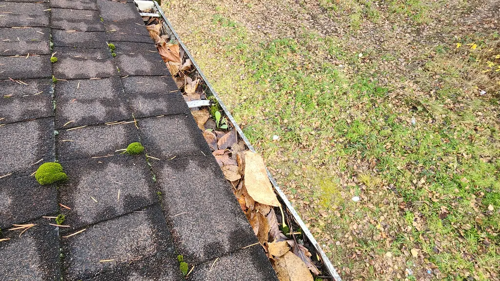 A close-up looking down into a gutter packed with dead leaves and other debris, with moss growing on the adjacent asphalt shingles. Fraser Roofing