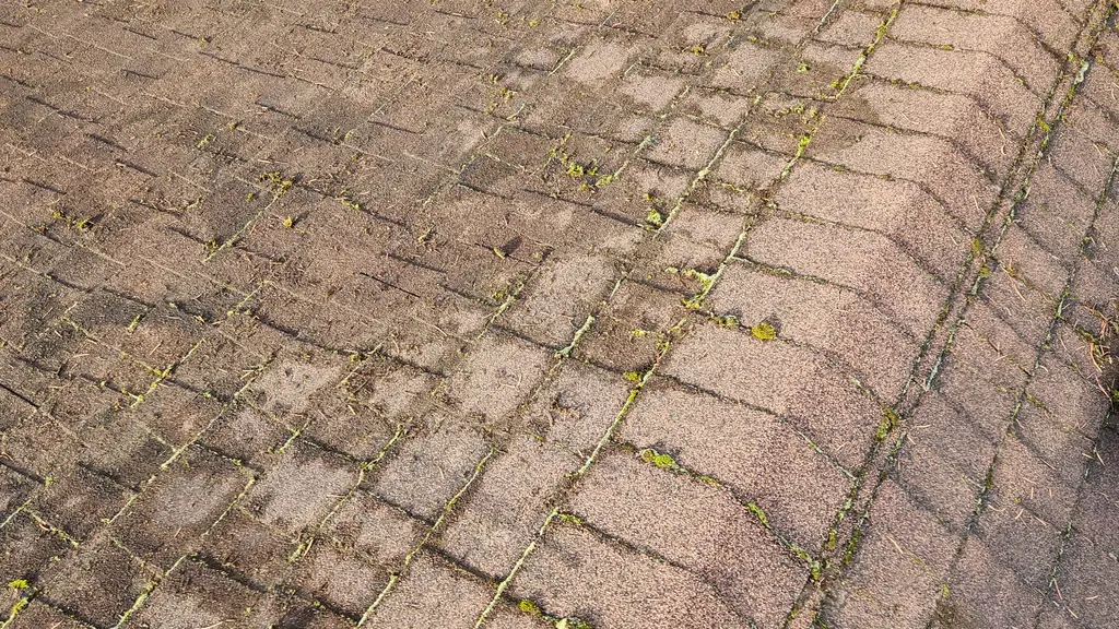 Overhead view standing on a dirty, moss-patched dark asphalt shingle roof with visibly worn granules. Fraser Roofing