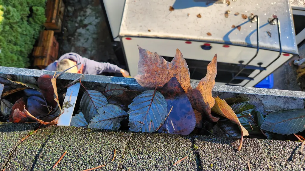 A close view down into a gutter full of dead leaves at a roof edge. Fraser Roofing