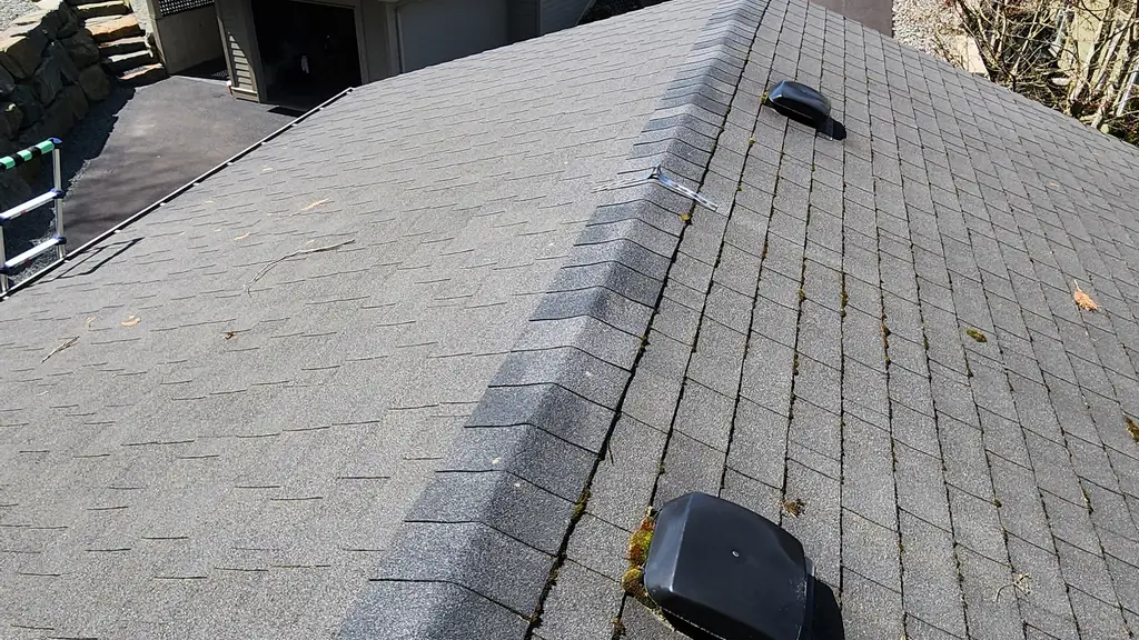 A view down a grey asphalt shingle roof ridge shows light moss in the shingle grooves and a black roof vent. Fraser Roofing