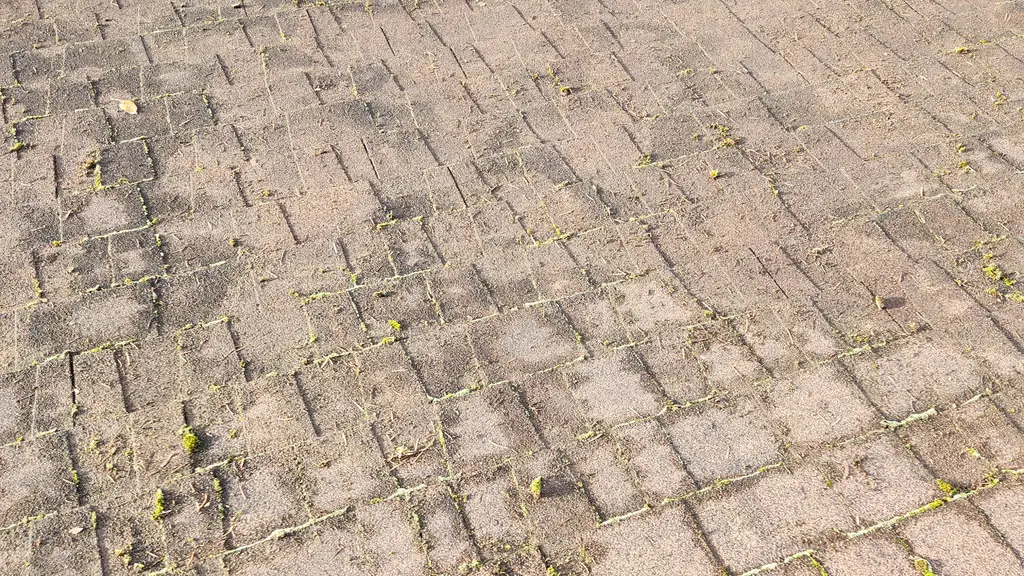 An overhead view down a mostly clean tan asphalt shingle roof surface with only faint moss traces in the shingle seams. Fraser Roofing