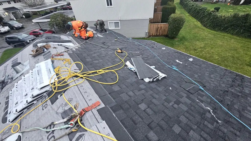 Two workers in orange and camo coveralls work on a grey shingle roof mid tear-off, with safety ropes and harnesses visible along with a nail gun. Fraser Roofing
