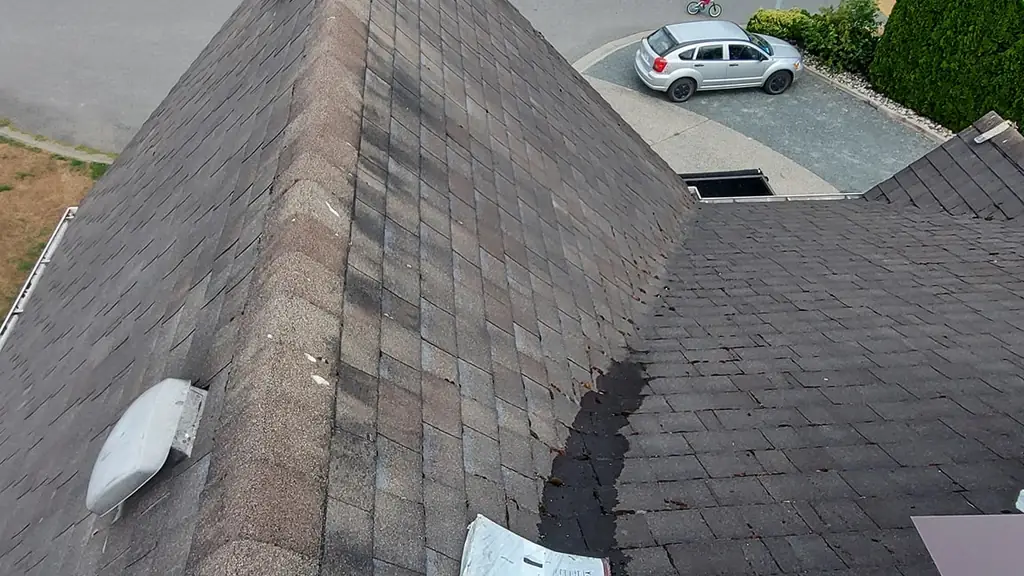 An aerial view down a roof hip toward the street shows aged, cracked asphalt shingles with a strip of new branded ice-and-water membrane laid. Fraser Roofing