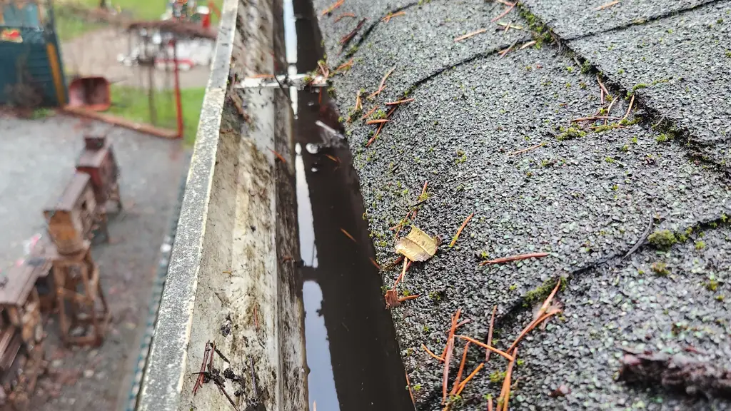 Looking down a roof gutter holding standing water along with some moss and pine needle debris. Fraser Roofing