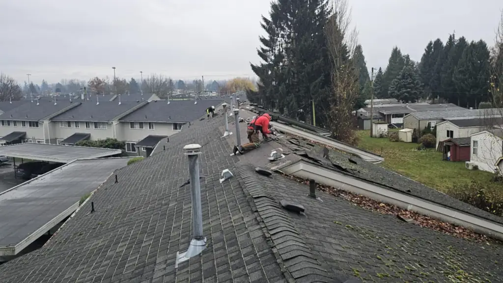 Similar vantage to the tear-off scene above: a worker in a red hoodie kneels prying old moss-covered shingles near the eave. Fraser Roofing