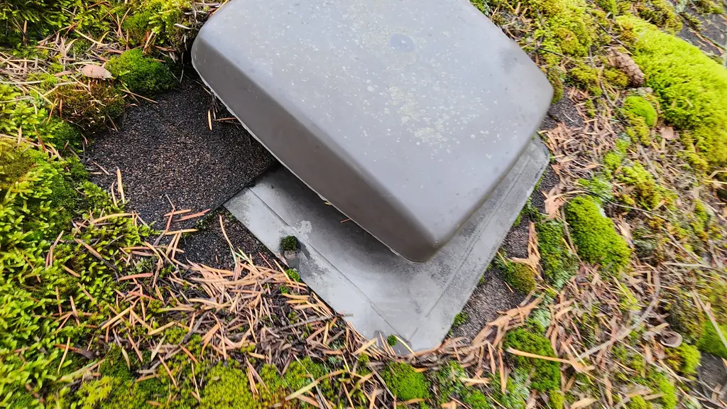 A close-up shows a grey plastic roof vent surrounded by dense green moss and dry pine needles on an asphalt shingle roof. Fraser Roofing