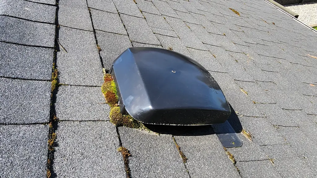 A close view shows a black plastic roof vent with moss at its base on a grey asphalt shingle roof. Fraser Roofing