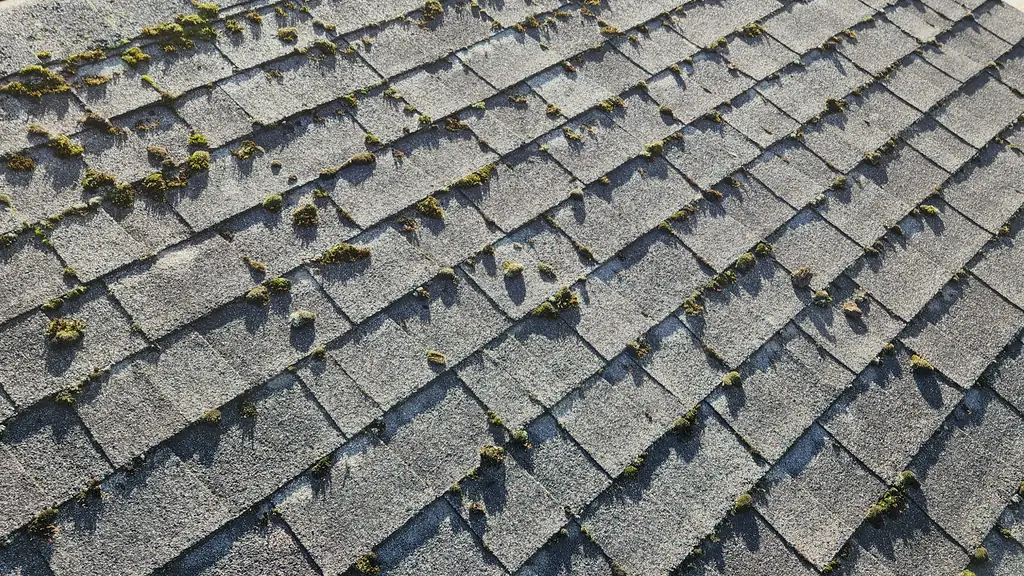 An overhead close view of a grey asphalt shingle roof edge with scattered small moss patches, two satellite dishes mounted near the roofline. Fraser Roofing