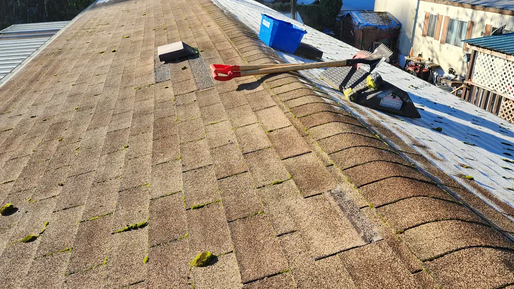 A view along a worn tan asphalt shingle ridge scattered with moss specks. Fraser Roofing
