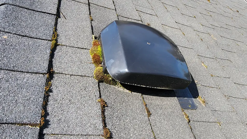 A close view shows a black plastic roof vent surrounded by small moss patches on a grey asphalt shingle roof. Fraser Roofing