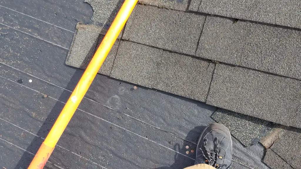 Close overhead view of a red-D-handled, yellow-shafted shingle rake tool with a toothed metal head, laid across worn grey shingles. Fraser Roofing